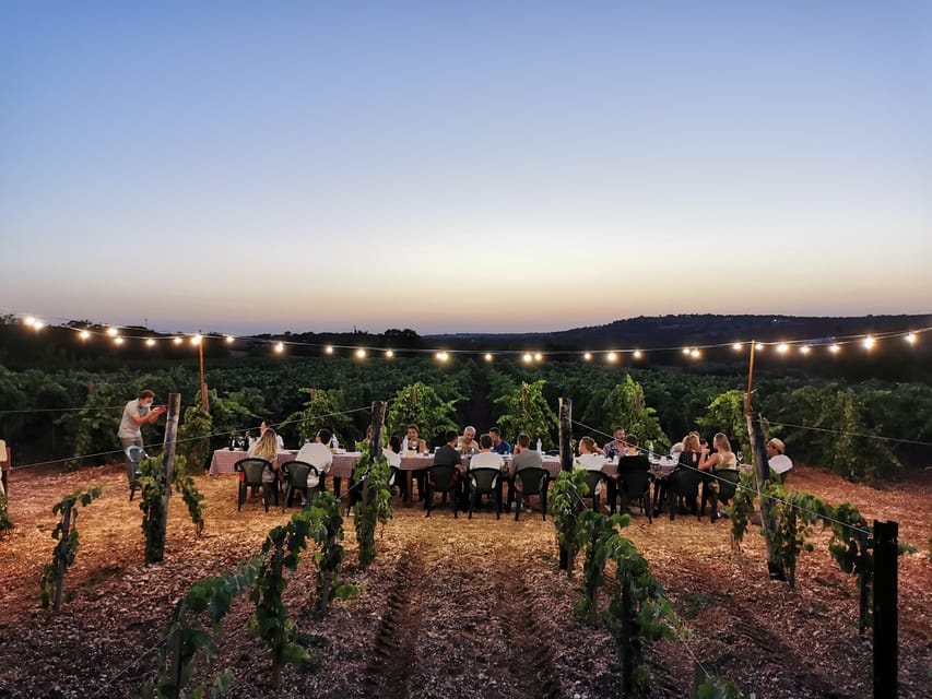 Apulia: Guided Wine Tasting with Local Appetizers - Four glasses, three grape varieties