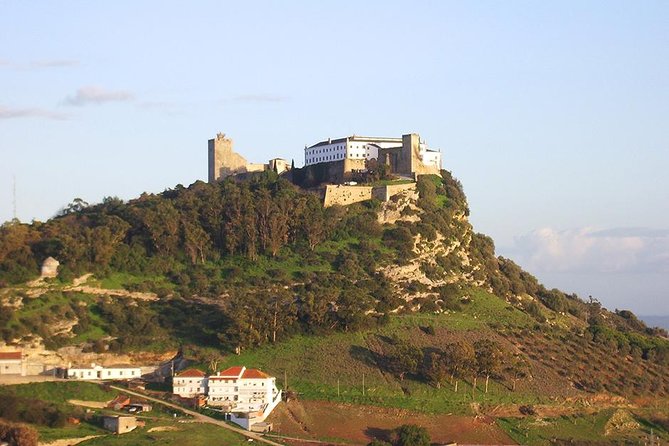 Arrabida and Sesimbra Small-Group Day Trip from Lisbon with Wine Tasting - A different wine experience at Quinta do Alcube
