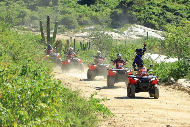 ATV Tour, Camel Ride, Tequila Tasting and Mexican Buffet Lunch - Tierra Sagrada brings desert and sea together