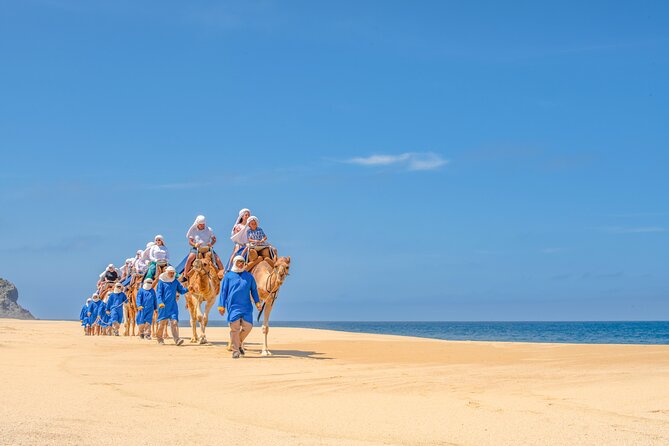 ATV Tour, Camel Ride, Tequila Tasting and Mexican Buffet Lunch - The real price: $149 plus required fees