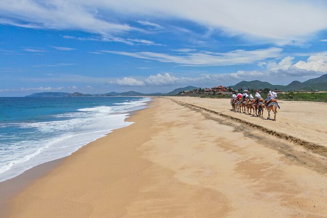 ATV Tour, Camel Ride, Tequila Tasting and Mexican Buffet Lunch - What to bring and what to confirm