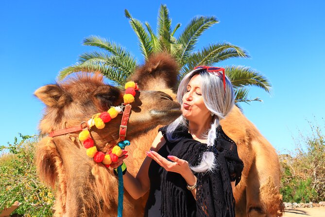 ATV Tour, Camel Ride, Tequila Tasting and Mexican Buffet Lunch - Who should book this Cabo outing?