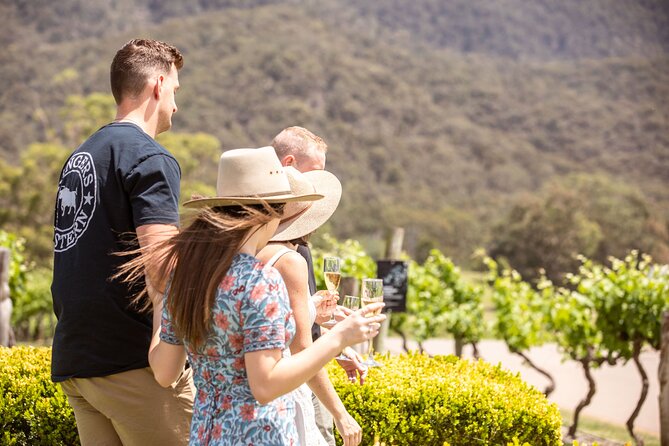 Audrey Wilkinson Vineyard: Picnic with Wine Masterclass Tasting - Who will enjoy this most