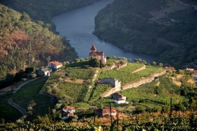 Authentic Small Group Douro Wine Tour with Lunch & River Cruise - Key points to know before booking