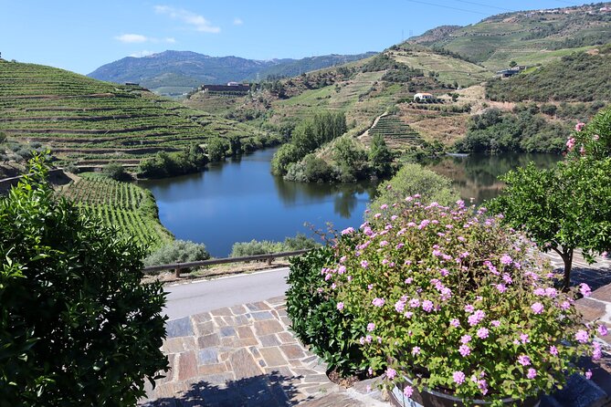 Authentic Small Group Douro Wine Tour with Lunch & River Cruise - What the schedule means for you