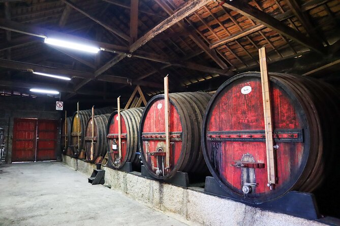 Authentic Small Group Douro Wine Tour with Lunch & River Cruise - Pickup details that can save your morning
