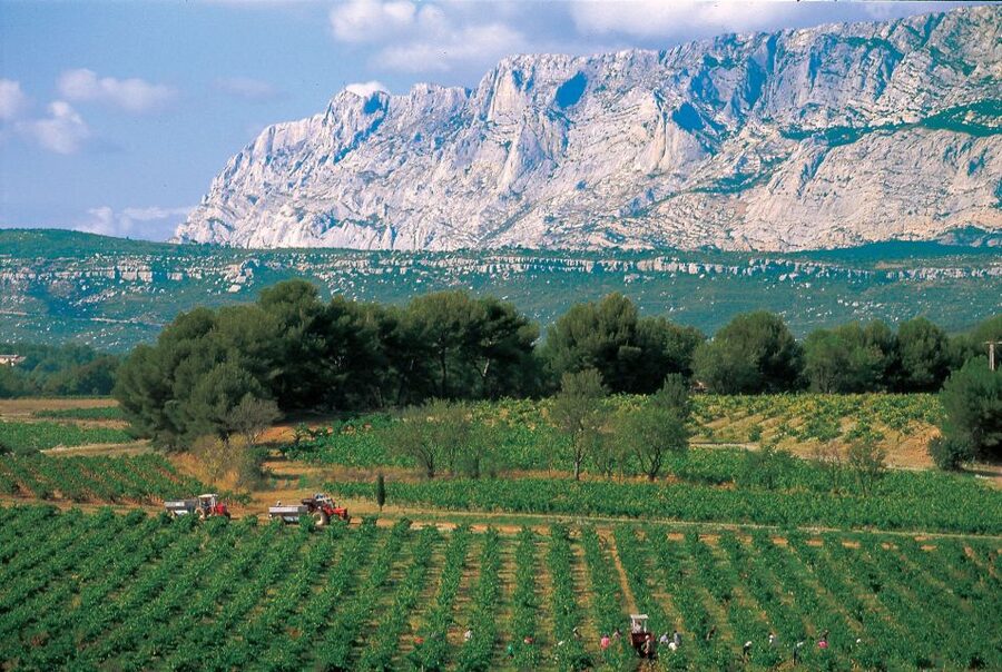 Avignon: Full-Day Wine Tour around Châteauneuf-du-Pape - A full day built around the Southern Rhône