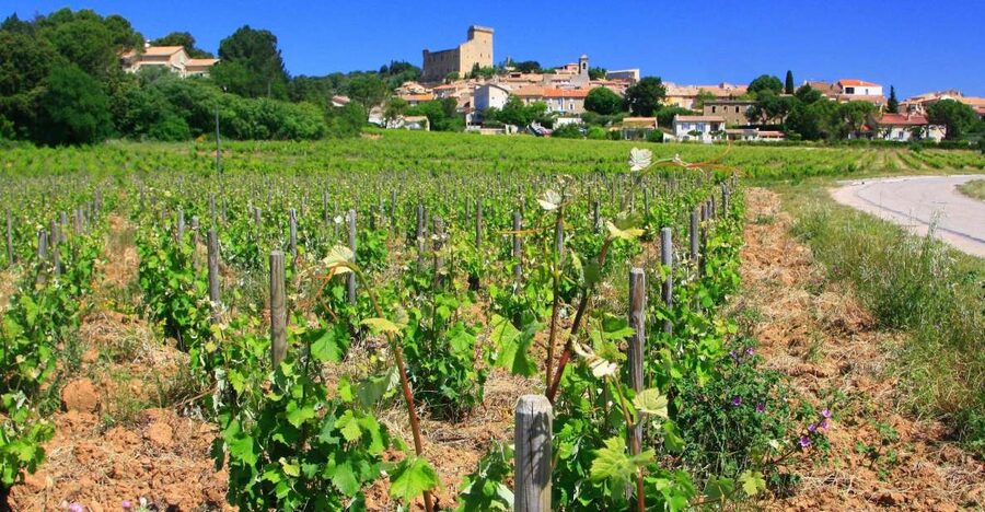 Avignon: Full-Day Wine Tour around Châteauneuf-du-Pape - Comparing Gigondas, Vacqueyras, and Séguret