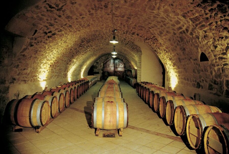 Avignon: Full-Day Wine Tour around Châteauneuf-du-Pape - Guides who teach without making wine feel stiff
