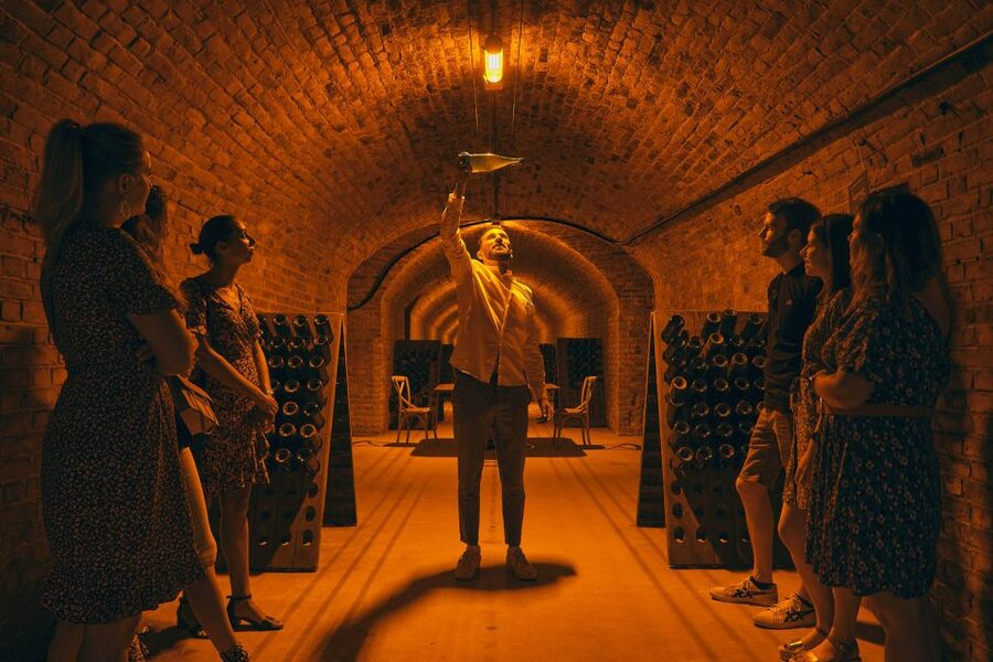 Aÿ-Champagne: Champagne House Tour and Tasting Class - What the $47 price buys you