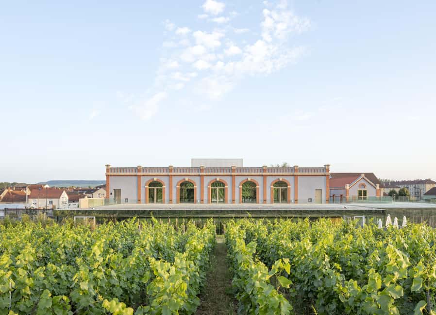 Aÿ-Champagne: Pressoria Champagne Museum with Tasting - The first stop is the soil beneath Aÿ-Champagne
