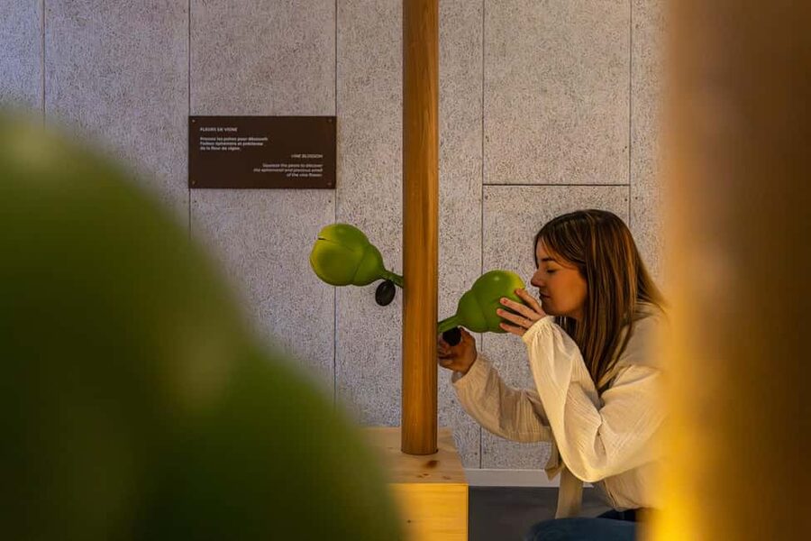 Aÿ-Champagne: Pressoria Champagne Museum with Tasting - Fermentation, aging, and bottling explained clearly