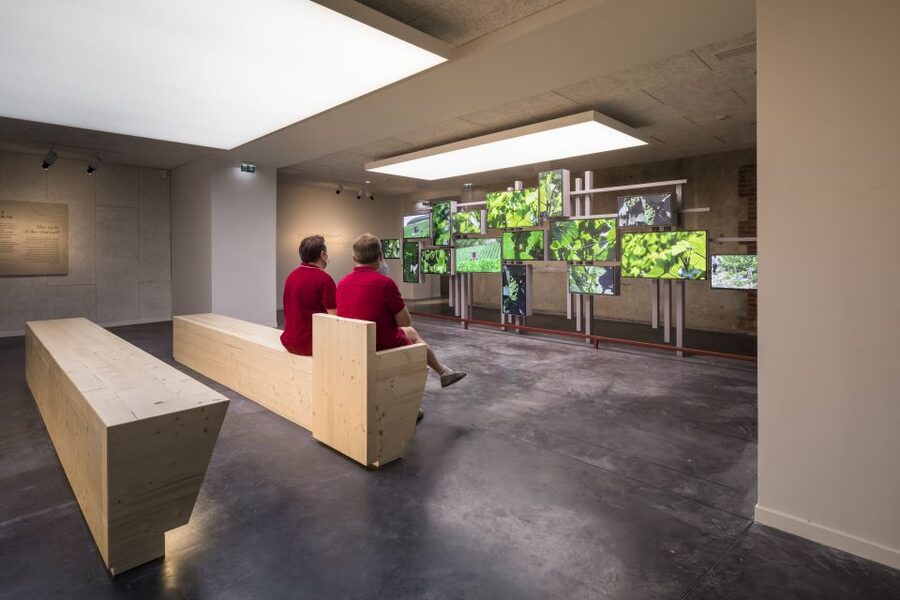 Aÿ-Champagne: Pressoria Champagne Museum with Tasting - The vineyard walk adds a sense of place