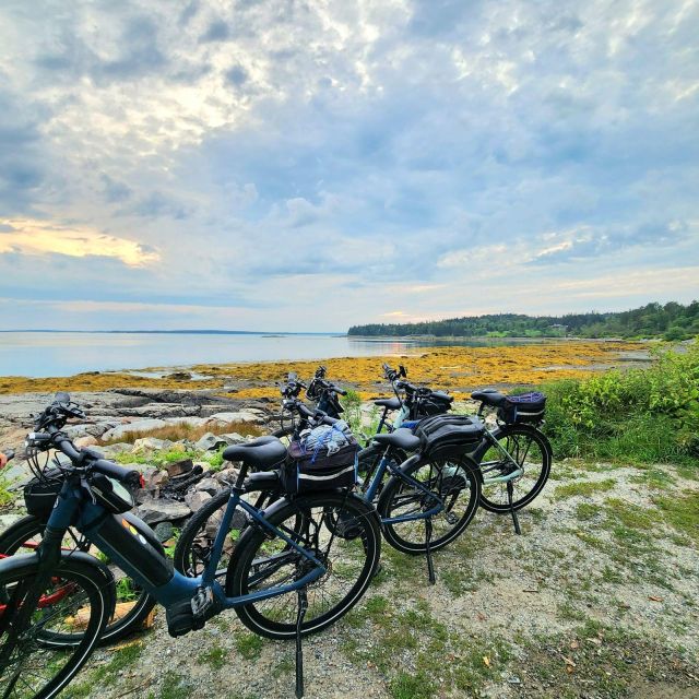 Bar Harbor: Acadia National Park Carriage Roads Ebike Tour - Meeting at Hulls Cove Visitor Center