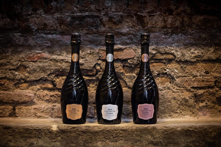 Barcelona: Casa Codorníu Guided Tour with Cava Tastings - Who will enjoy this tour most