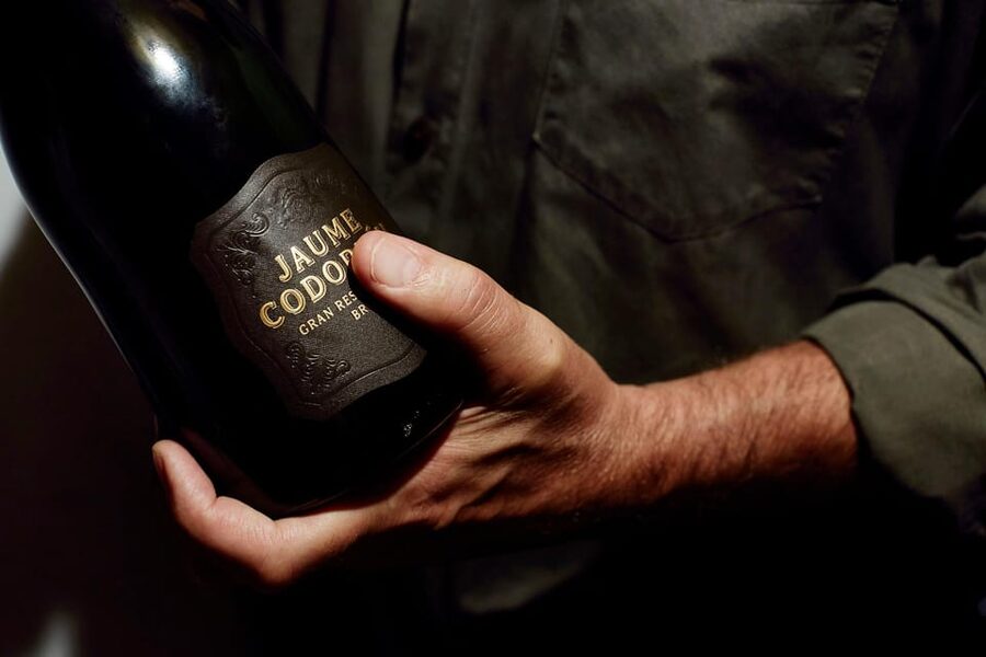 Barcelona: Casa Codorníu Guided Tour with Cava Tastings - Practical advice for planning your visit