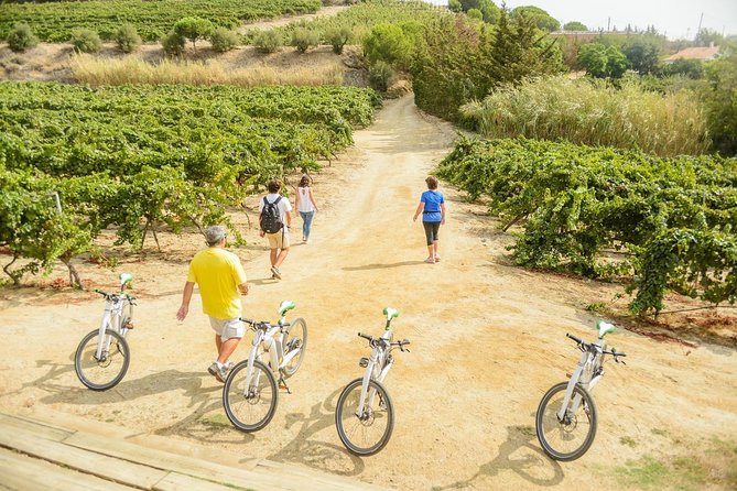 Barcelona eBike Beach Private Tour to Vineyards & Picnic - What the private format is really worth