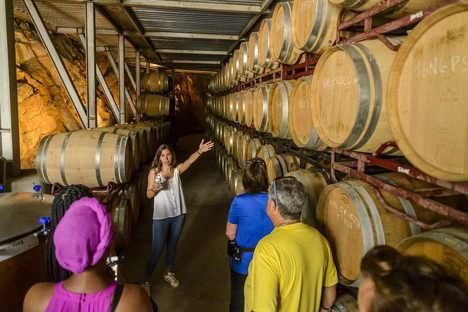 Barcelona eBike Beach Private Tour to Vineyards & Picnic - Who will enjoy this most