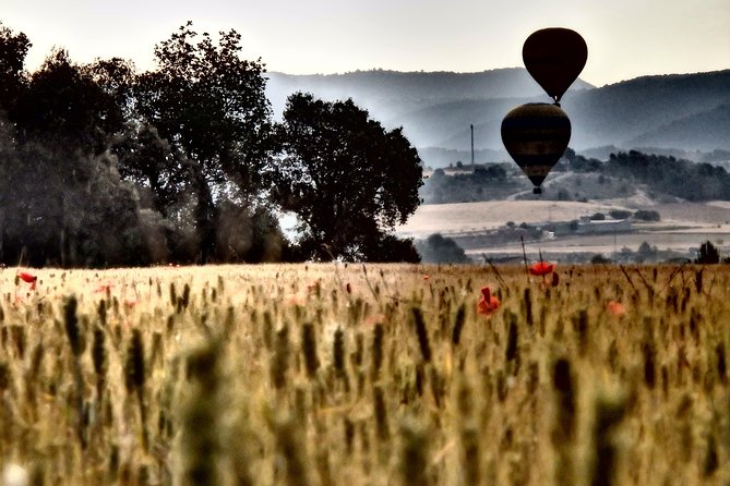 Barcelona: Montserrat Hot Air Balloon Ride with Champagne Toast - Landing, snacks, and the champagne toast