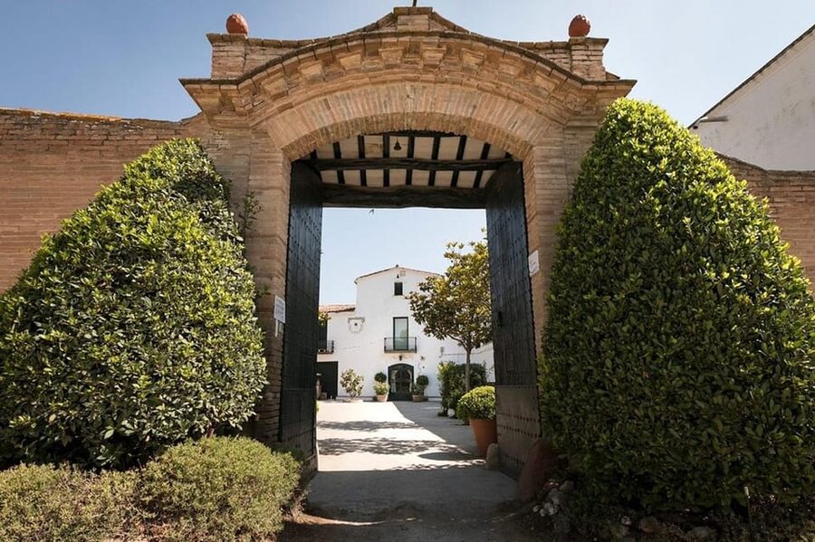 Barcelona: Montserrat Tour with Lunch & Wine Tasting Option - Who will enjoy this tour most?