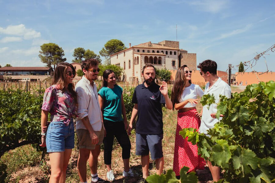 Barcelona: Montserrat with Winery, Lunch, and Train Options - Free time around Montserrat