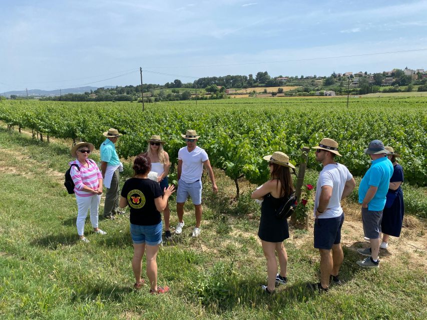 Barcelona: Montserrat with Winery Visit and Farmhouse Lunch - A farmhouse lunch in the Penedès vineyards