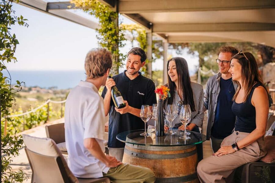 Barcelona: Sailing Cruise & Vineyard Tour with Wine Tasting - Should you book the Barcelona sailing and wine tour?