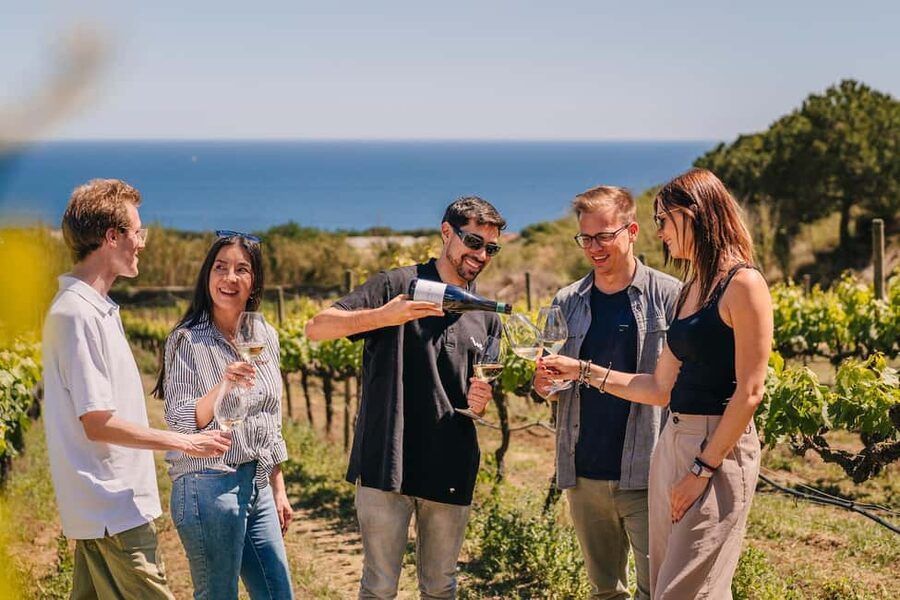 Barcelona: Sailing Cruise & Vineyard Tour with Wine Tasting - Reaching Alella and Bouquet d’Alella