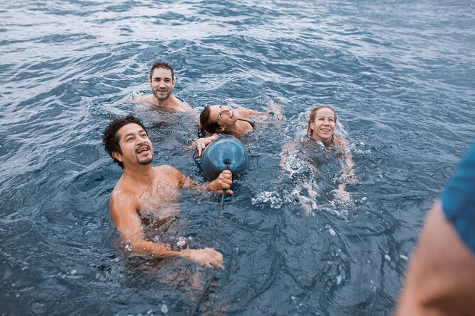 Barcelona Sunset Cruise with Open Bar of Cava and Snacks - Is $48.15 a fair price?