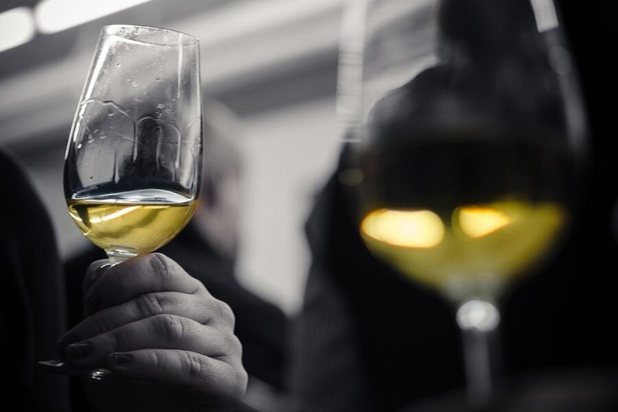 Barcelona Wine Tasting: Catalan and Spanish Wines - Learning to taste without taking it too seriously