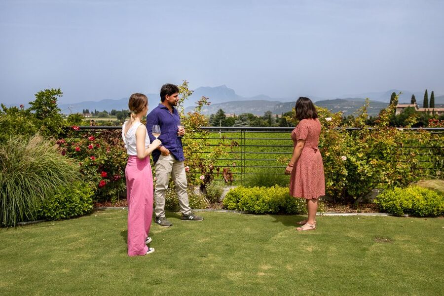 Bardolino: Vineyard Tour with Wine and Food Tasting - Why This Bardolino Tour Works So Well
