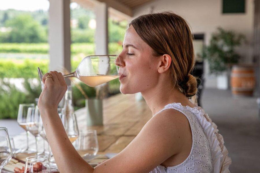 Bardolino: Vineyard Tour with Wine and Food Tasting - Four Wines, Three Styles of Label