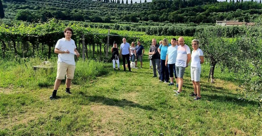 Bardolino: Vineyard Tour with Wine, Olive Oil & Food Tasting - A small winery with a family story
