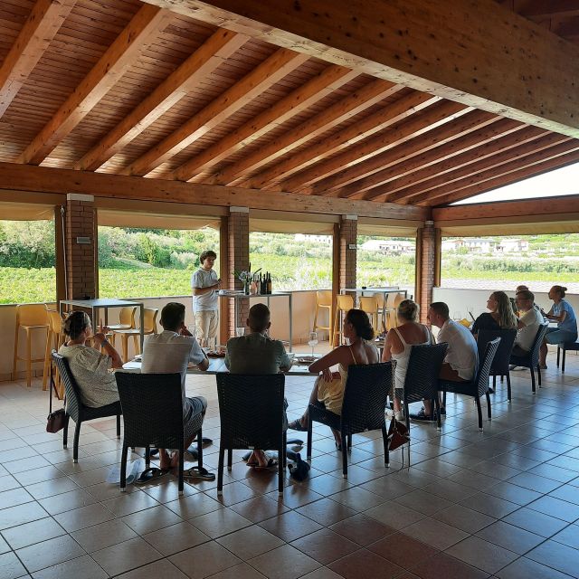 Bardolino: Vineyard Tour with Wine, Olive Oil & Food Tasting - The terrace tasting, five wines in a sensible order