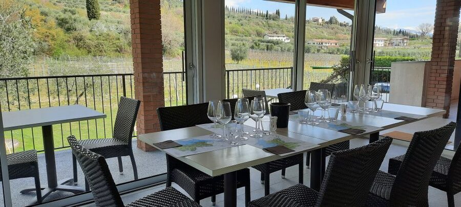 Bardolino: Vineyard Tour with Wine, Olive Oil & Food Tasting - Why the small group size matters