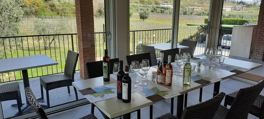 Bardolino: Vineyard Tour with Wine, Olive Oil & Food Tasting - Should you book the vineyard tour?