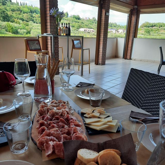 Bardolino: Vineyard Tour with Wine, Olive Oil & Food Tasting - Walking through the Bardolino DOC vines