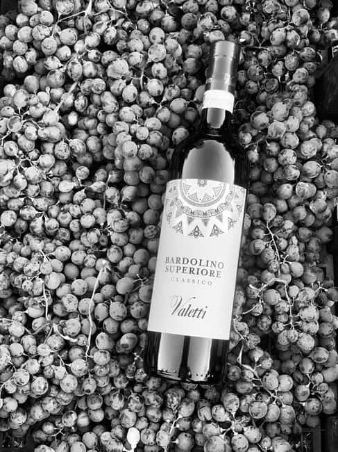 Bardolino: Wine tasting at Cantina Valetti - A one-hour introduction to Cantina Valetti