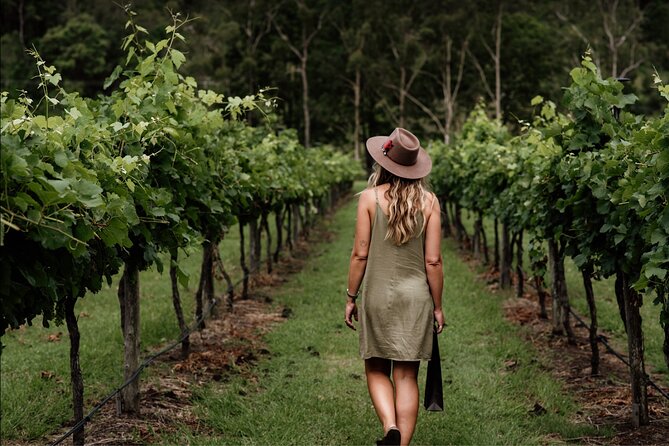 Barefoot Luxury Mount Tamborine Winery Tour from Brisbane - Why Mount Tamborine works so well as a day trip