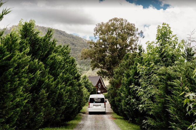 Barefoot Luxury Mount Tamborine Winery Tour from Brisbane - A comfortable start from Brisbane at 9am