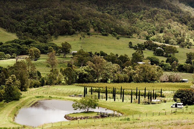 Barefoot Luxury Mount Tamborine Winery Tour from Brisbane - Lunch with mountain views and a slower middle of the day