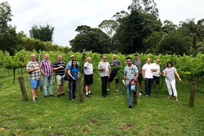 Barefoot Luxury Mount Tamborine Winery Tour from Brisbane - Witches Falls and the first proper wine tasting