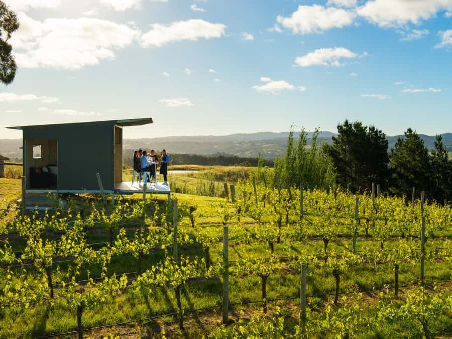 Barossa Wine Tour: Small Group 8 max, Rare, Unique, Premium - Leaving Adelaide for the Barossa Valley