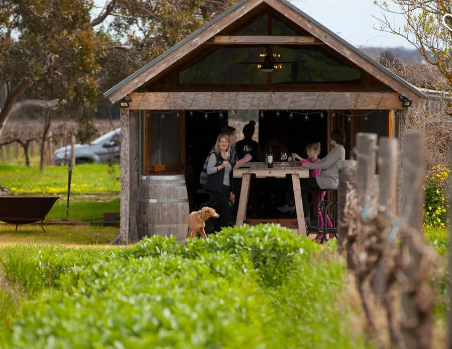 Barossa Wine Tour: Small Group 8 max, Rare, Unique, Premium - Lunch at The Greenock