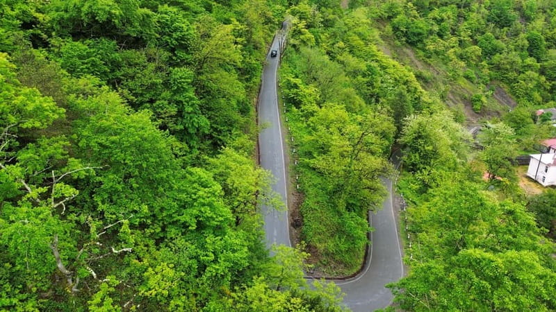 Batumi: Wine & Dine Tour To Waterfalls - Mountainous Adjara - Shervashidze wine cellar: three hours of food, drink, and welcome