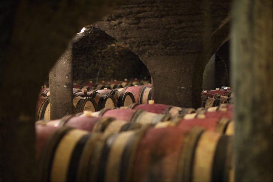 Beaune: Maison Champy Guided Cellar Tour with Wine Tasting - How Maison Champy compares with a bigger château visit