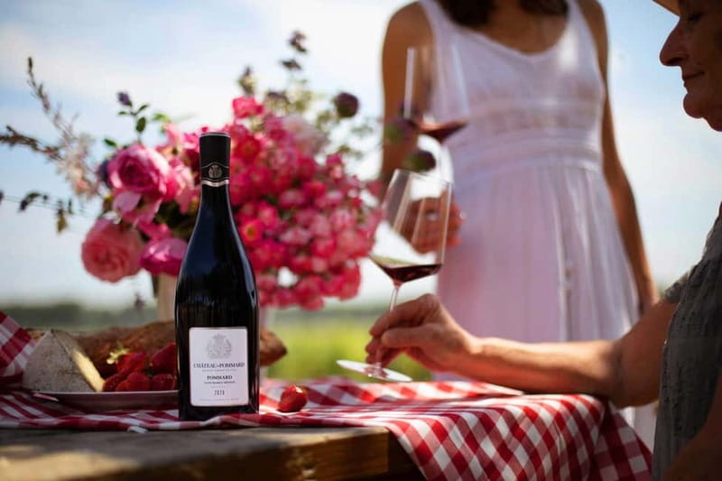 Beaune: Wine Tasting at Château de Pommard - What this one-hour Burgundy experience is really about