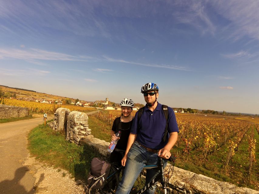 Beaune: Winery Tour by Bike with Wine Tasting - Pommard: a short photo stop among famous vines