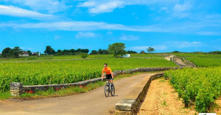 Beaune: Winery Tour by Bike with Wine Tasting - Starting beside Parc de la Bouzaize