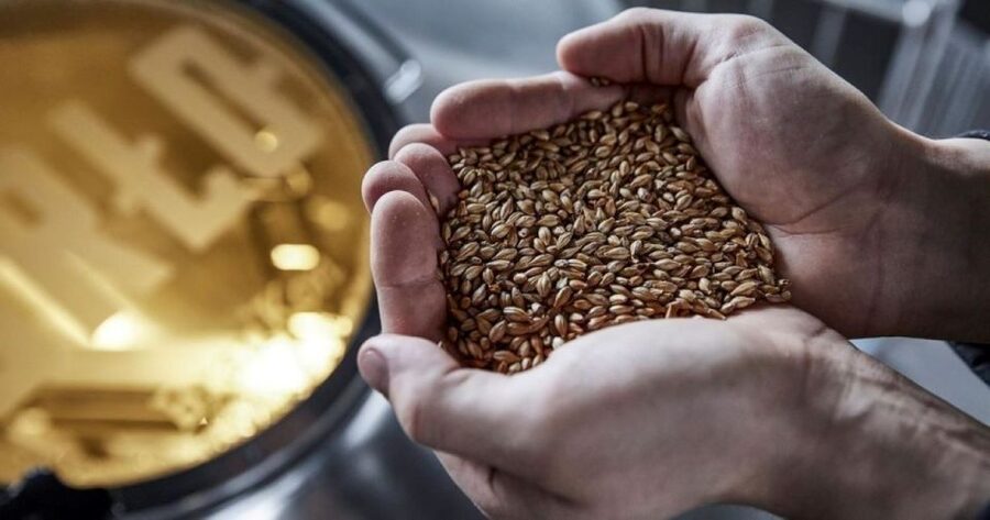 Berlin: BRLO BRWHOUSE Tour and Craft Beer Tasting - Is $21 a good value?
